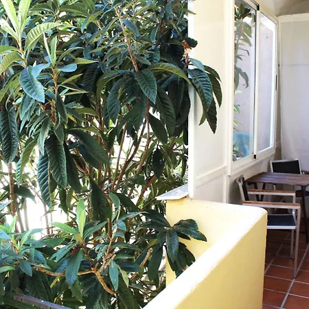Guest house Alevia