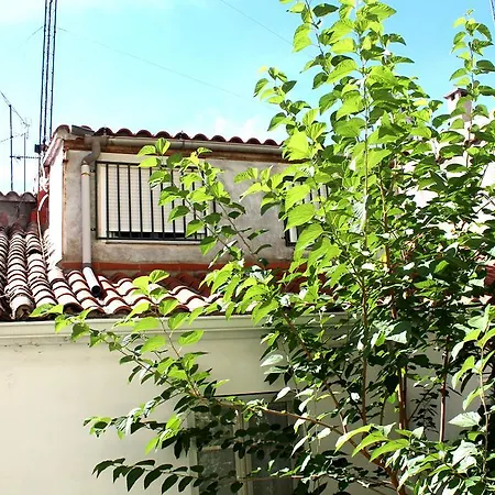 Alevia Guest house